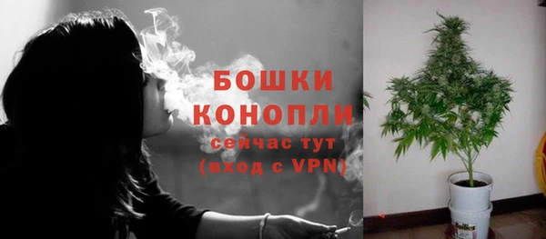 сатива Абдулино