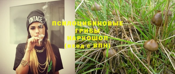гидропоника Абаза