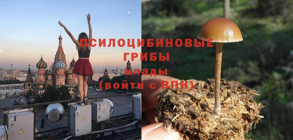 бошки Протвино