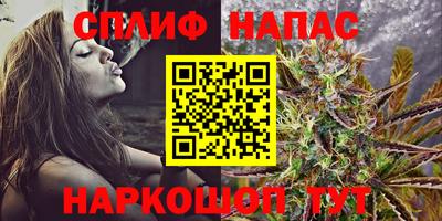 крисы Гусев