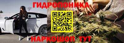 крисы Гусев