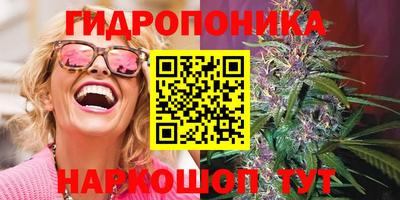 крисы Гусев