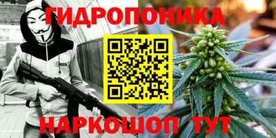 метадон Гусь-Хрустальный