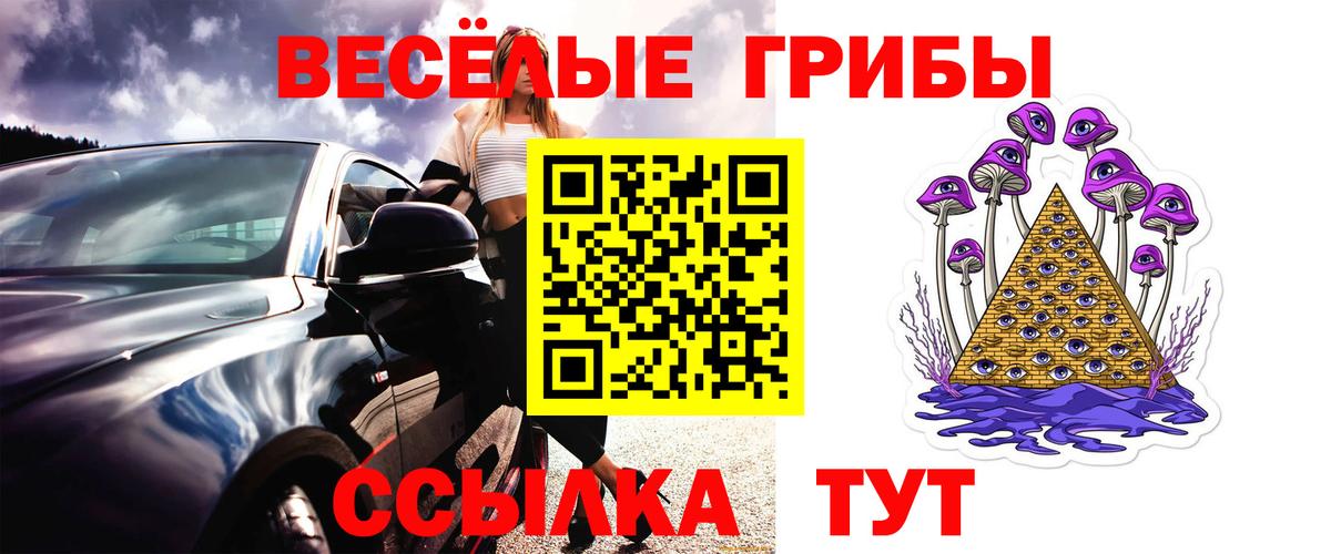 Галлюциногенные грибы MAGIC MUSHROOMS Калининград