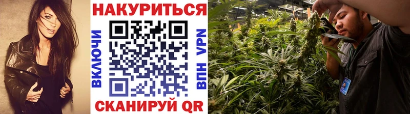 наркотики  Калининград  Каннабис Ganja 